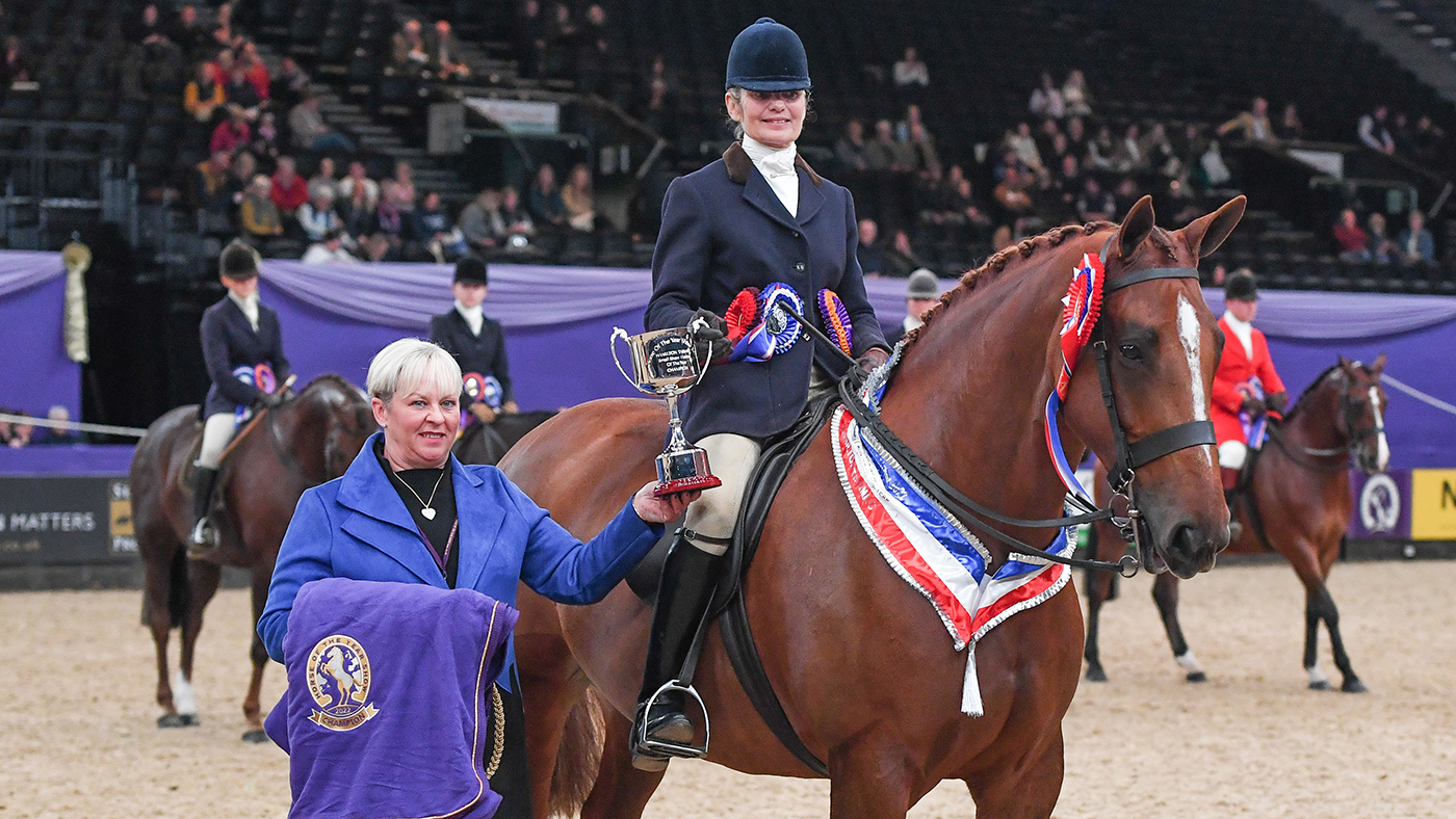 hoys small hunter