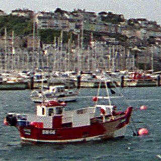 Epson V550, 100% scan crop