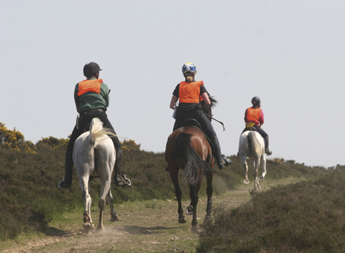 endurance-1.jpg