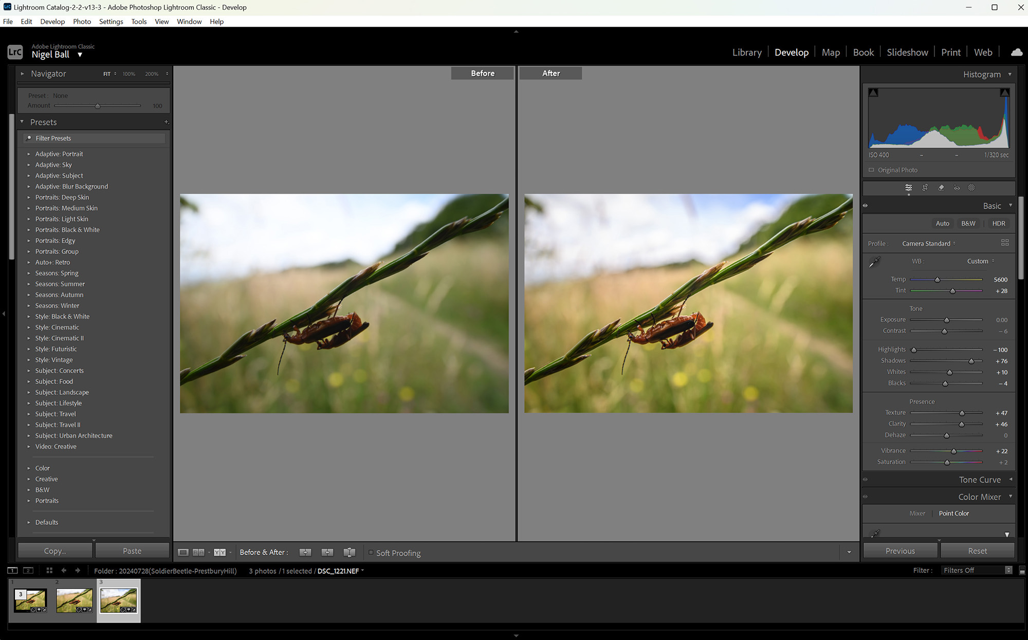 Lightroom before and after screenshot of two insects on a plant in front of a blurry meadow