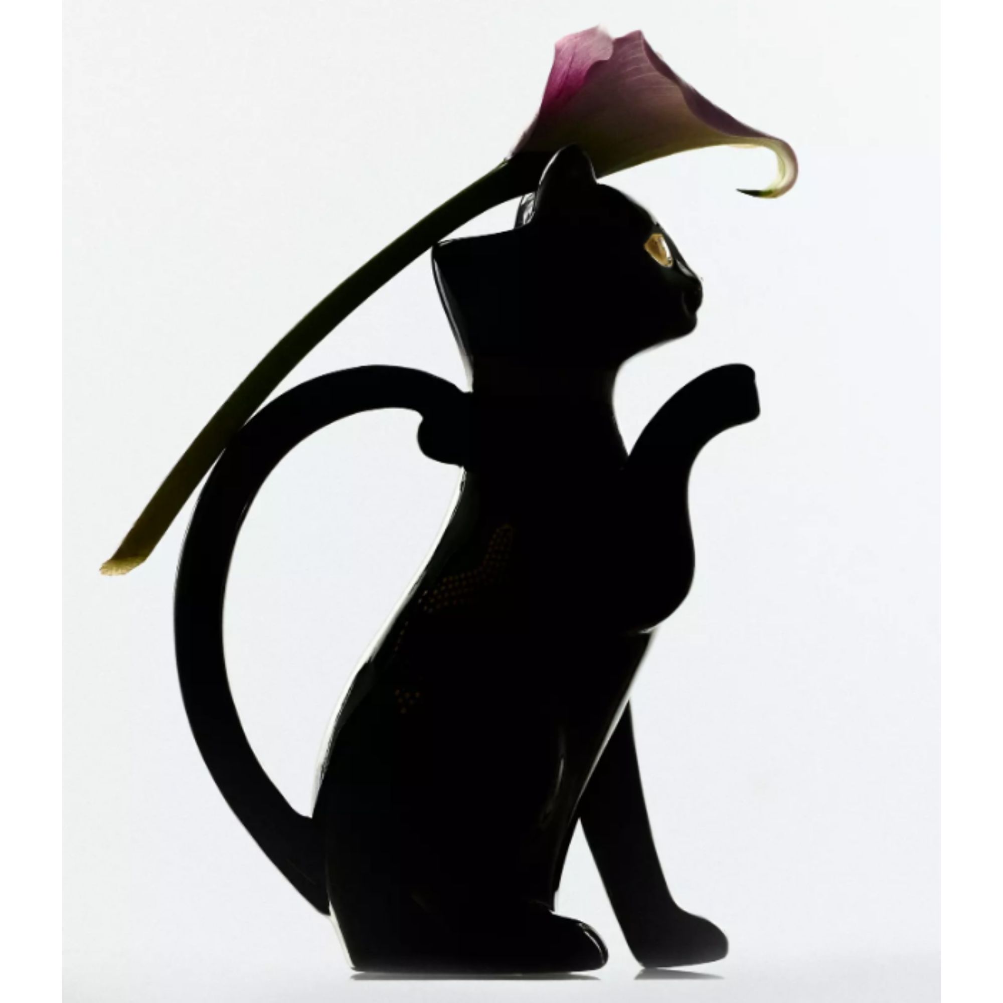 Florence Balducci Black Cat Stoneware Pitcher