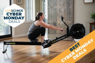 Exercise equipment cyber monday sale