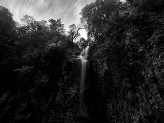 Waterfall in a forest