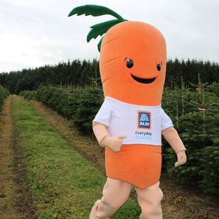A carrot mascot wearing a white Aldi t-shirt walking through a field of Christmas trees.