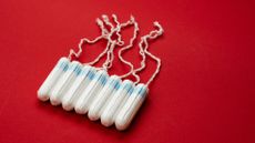 Tampons isolated on red background