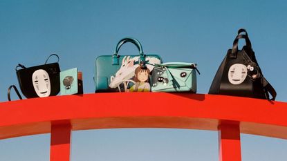 loewe spirited away collection