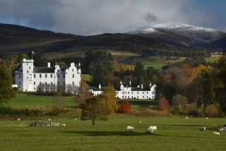 A Rococo castle in the wilds