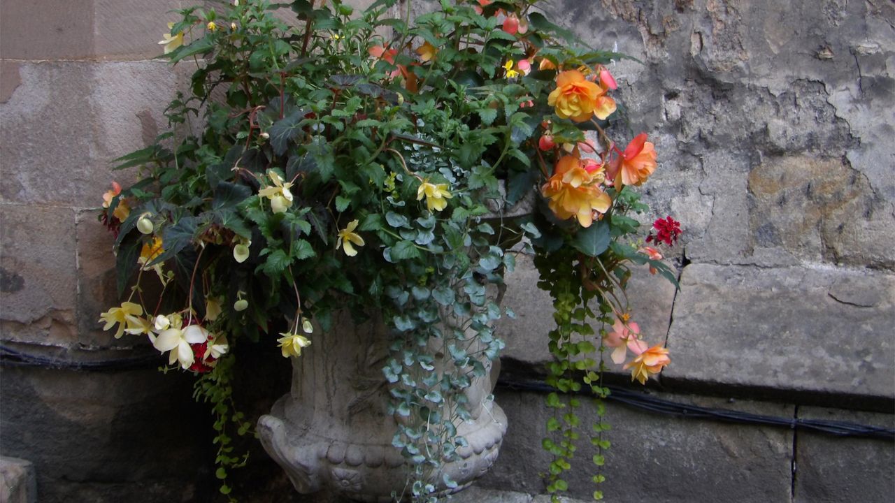 Images taken with the Kodak Pixpro AZ653