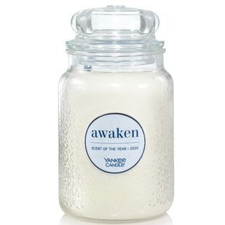 yankee scented candle of year 2020