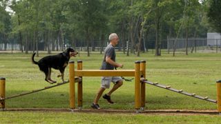 Agility course in bark park in Houston Texas