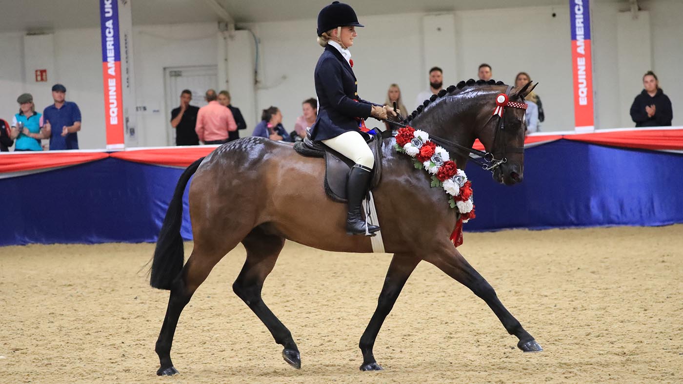 &amp;ldquo;Produced to perfection&amp;rdquo;: Zara Brookes and Parkgate Royal Visit William claim ridden pony supreme with a foot-perfect performance