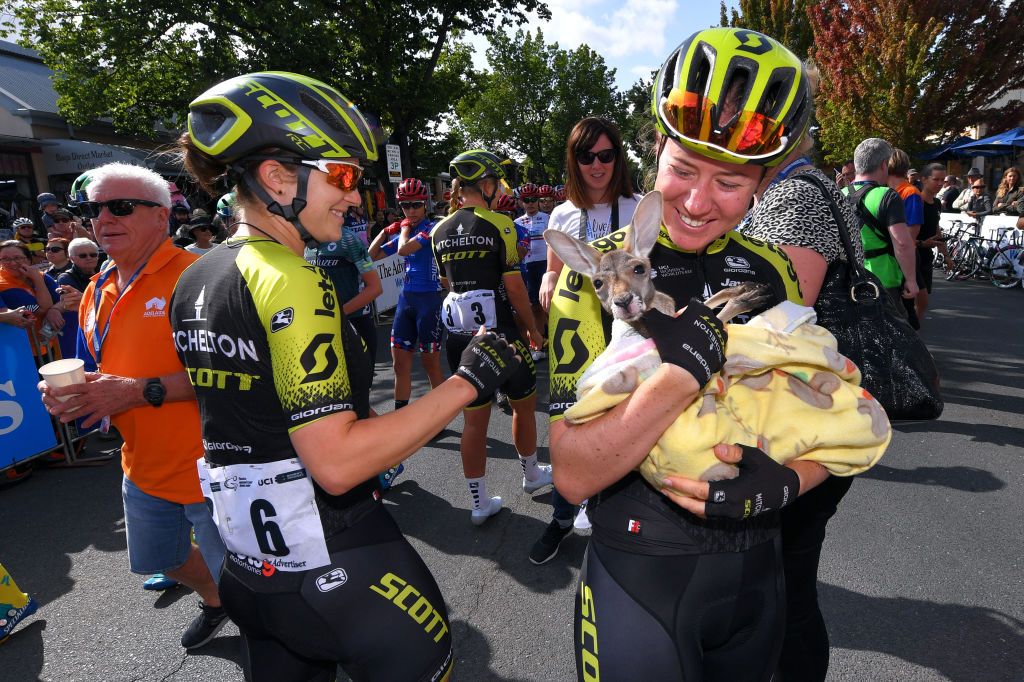 Mitchelton-Scott riders with a baby kangaroo