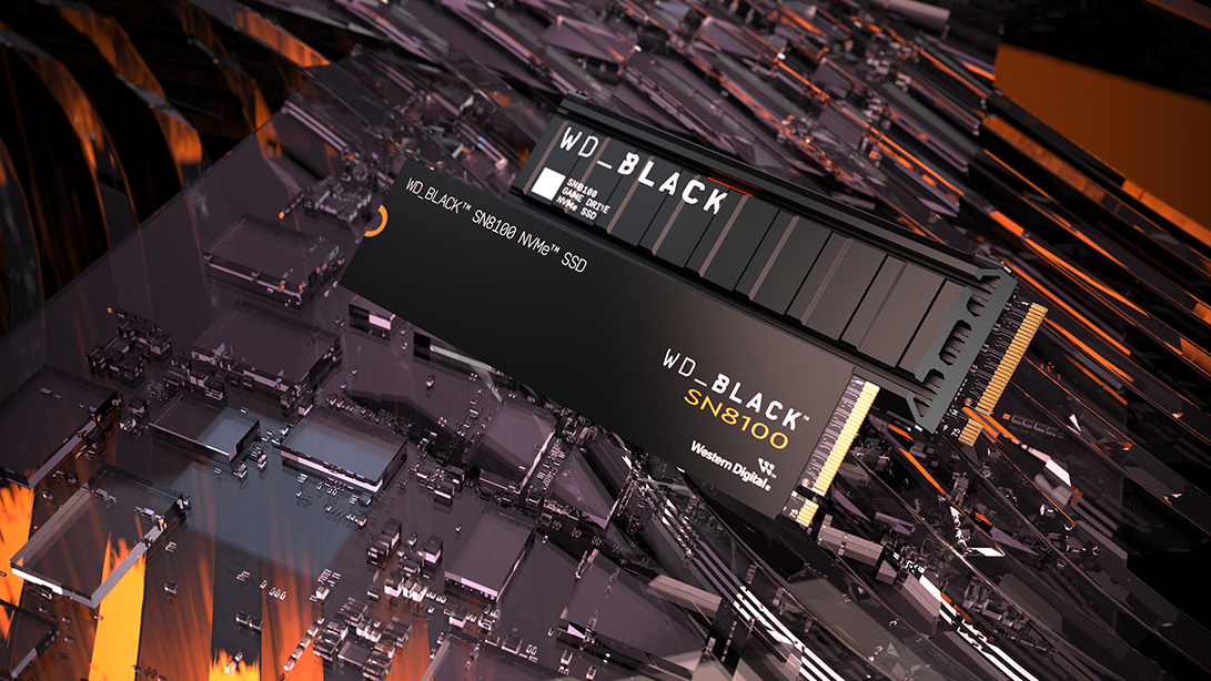 Sandisk WD_Black SN8100 NVMe SSD