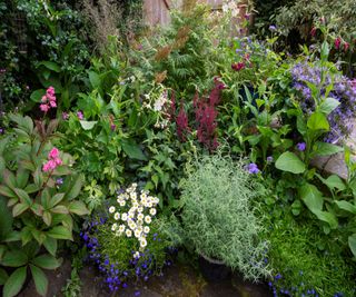 A sheltered border where plants will hold their scent