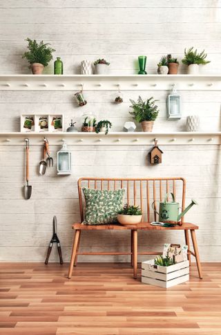 Houseplants, photos and gardening trinkets on open shelving with wooden bench chair and green decorative accents