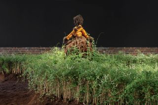 Precious Okoyomon 'Earthseed', exhibition view at the Museum Für Moderne Kunst, Frankfurt, 2020.