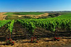 Santa Barbara travel guide