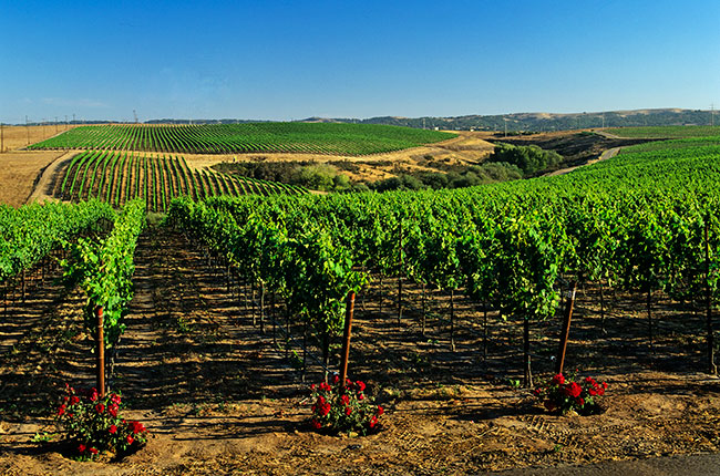 Santa Barbara travel guide