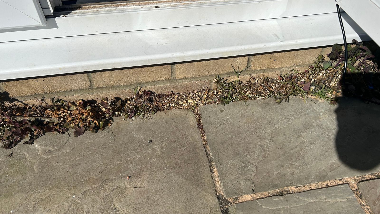 Weed killer after - dead weeds