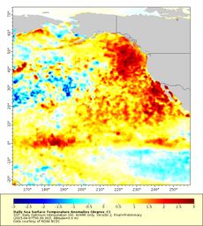 Warm Blob in the Pacific Ocean