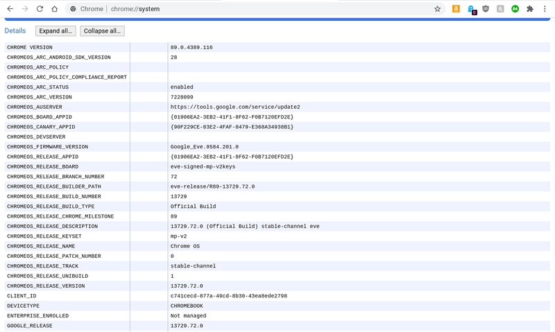 Chromebook System Info