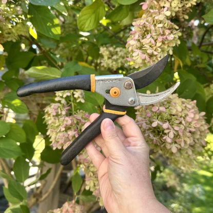 Fiskars 9109 bypass pruners held in front of hydrangea