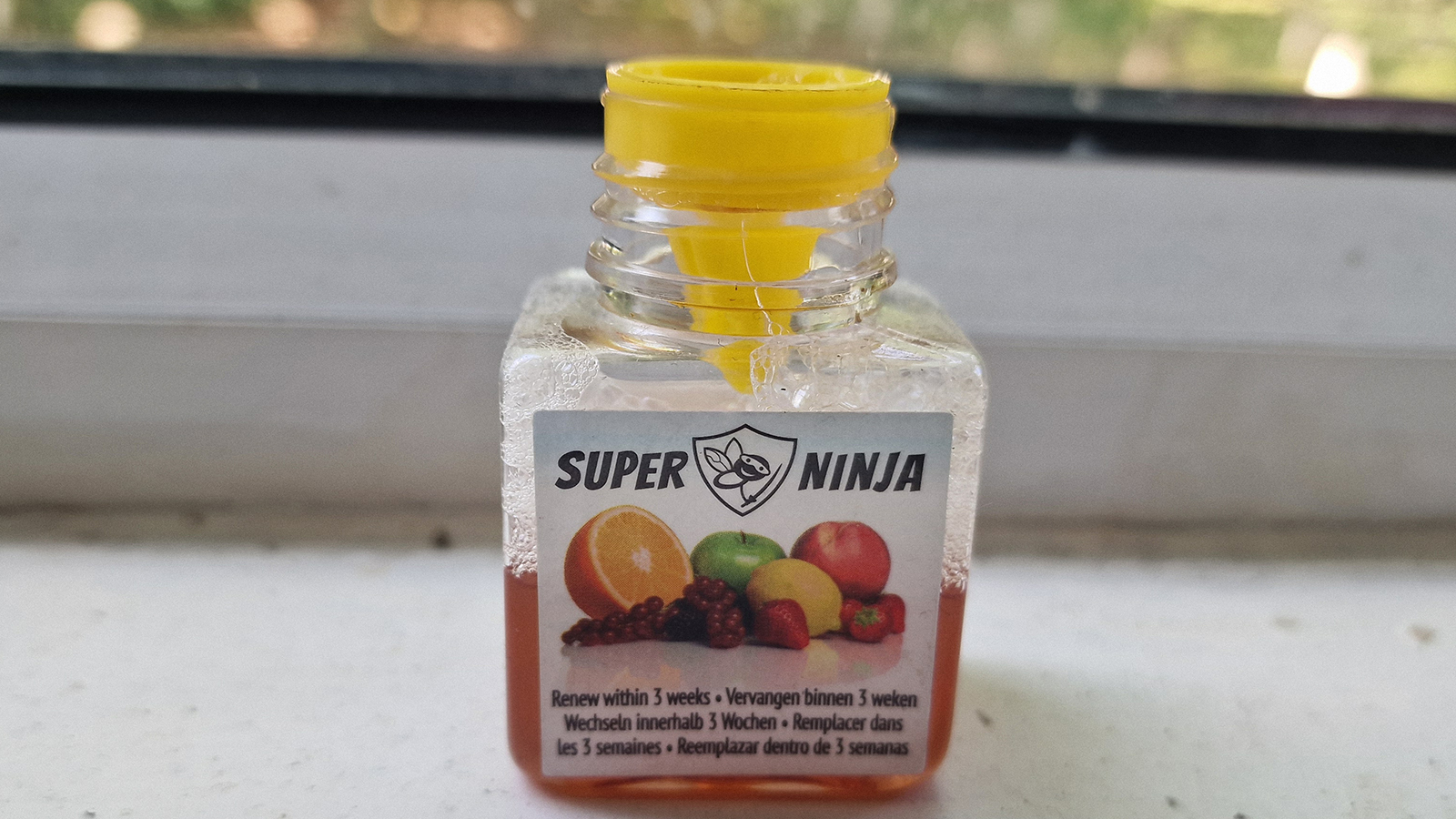 Fruit fly trap being tested at home