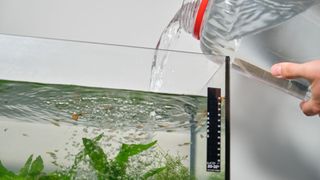 Person adding water to the fish tank