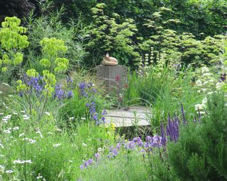 naturalistic planting design used near a water feature by michelle brandon