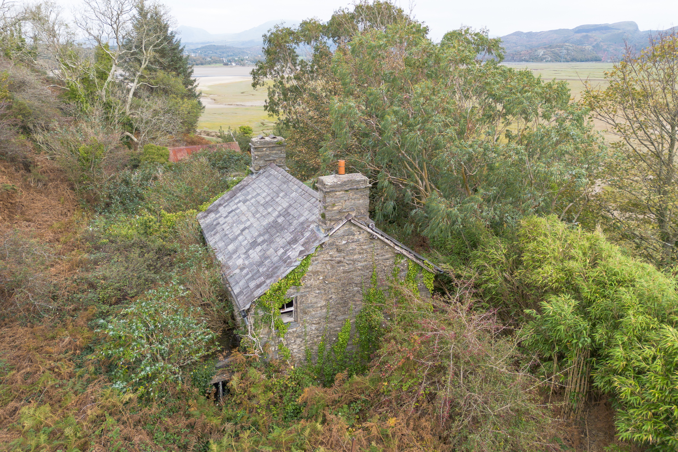The barely inhabited welsh island of Ynys Gifftan, overgrown and lush