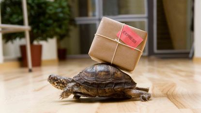 Gift Yourself with Free Amazon Prime No-Rush Shipping