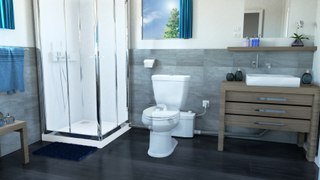 A Saniflo macerator toilet with macerator visible through the toilet and a shower to the left of the room