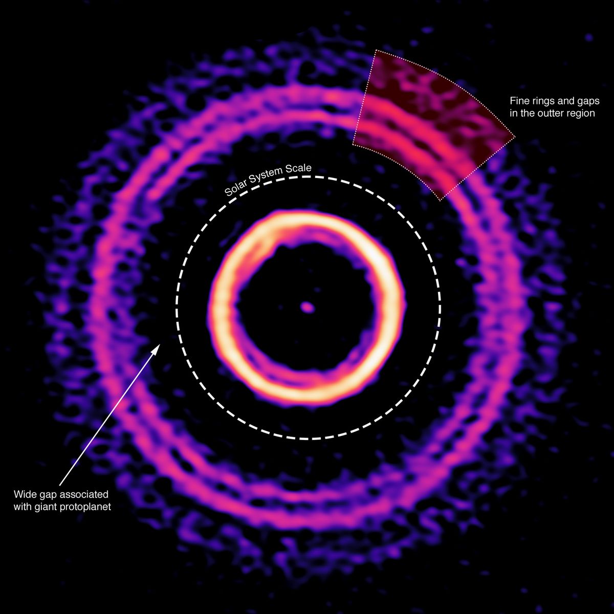 A labelled ALMA image describing the structure of the protoplanetary disk in the young star system HD 169142.
