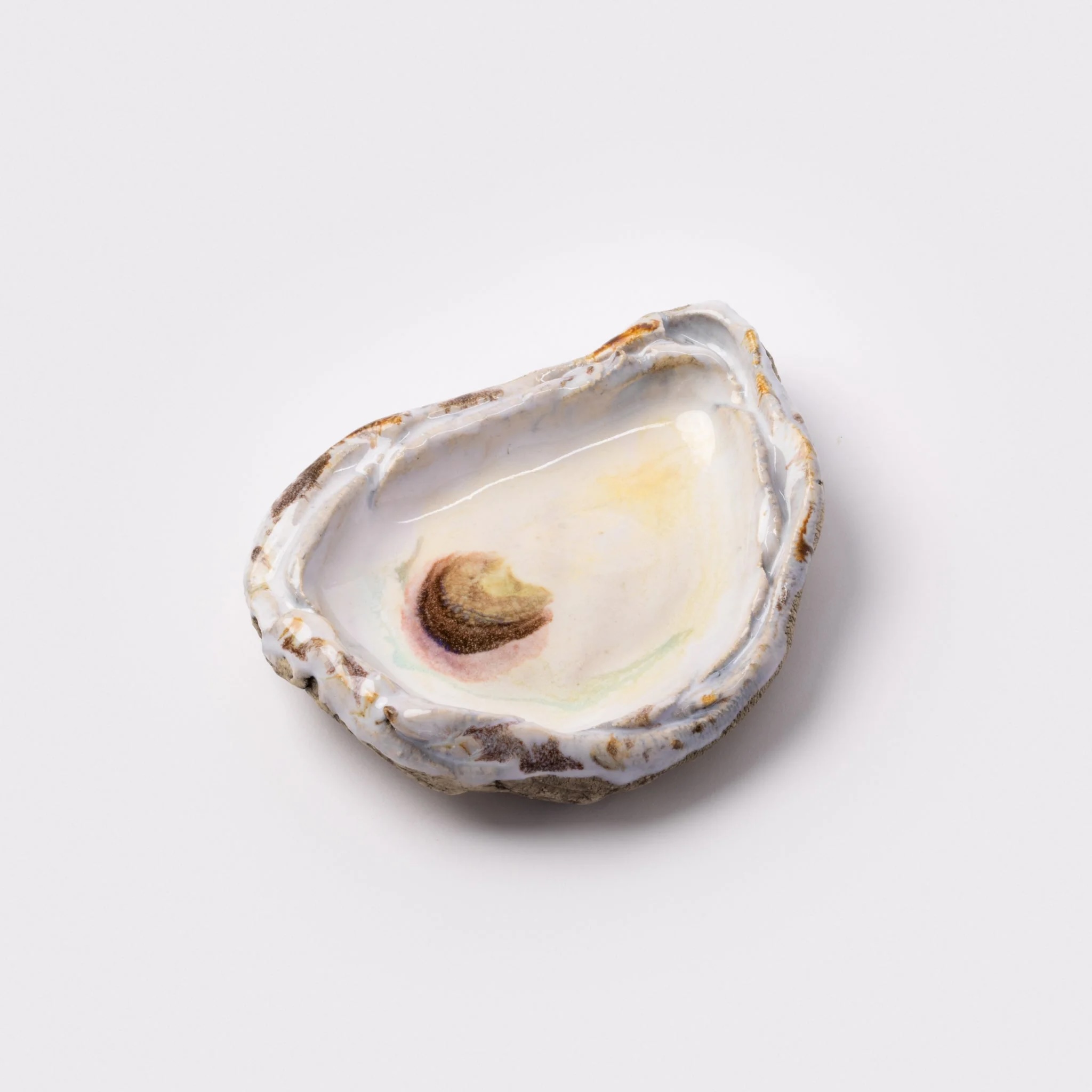 R Finds shell-shaped desk tidy