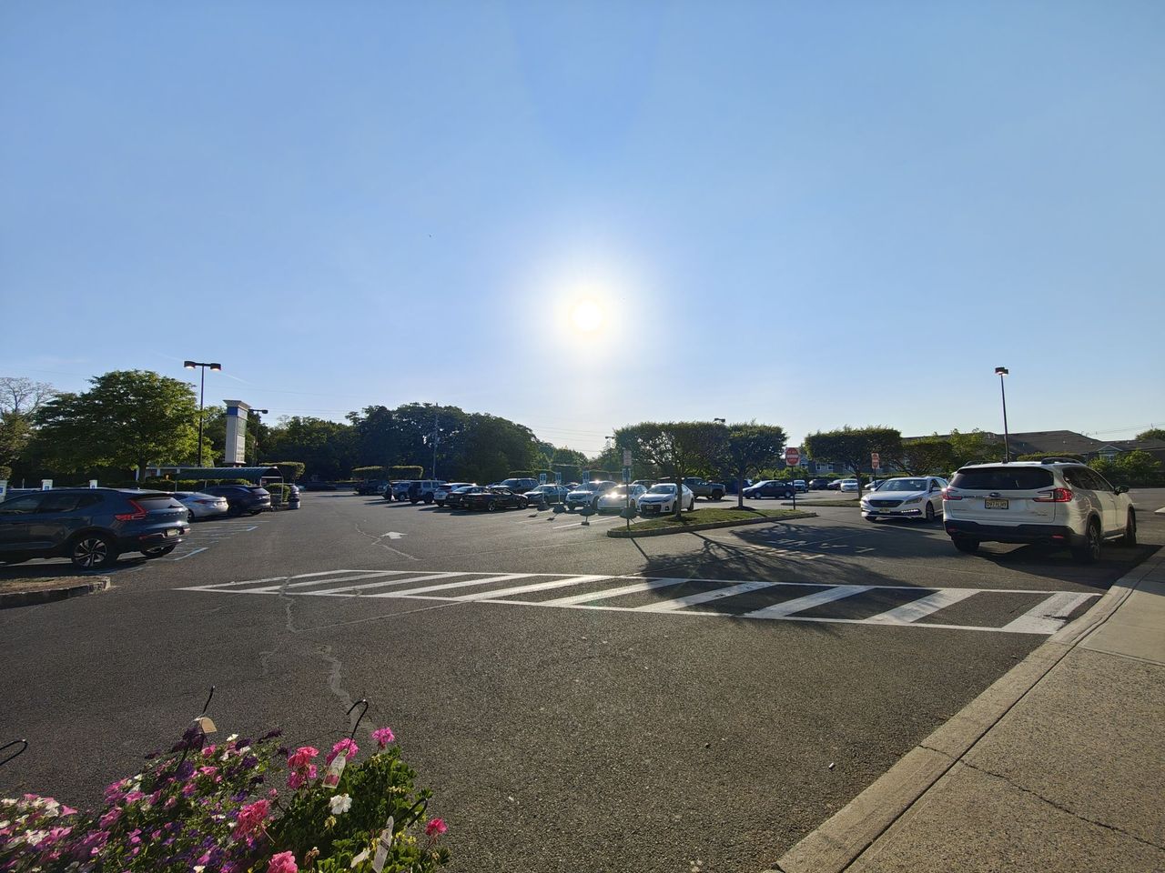 Motorola Razr Plus 2026 camera sample.