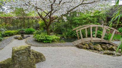 gravel path and bridge with blossom tree overhead for Japanese Zen garden ideas