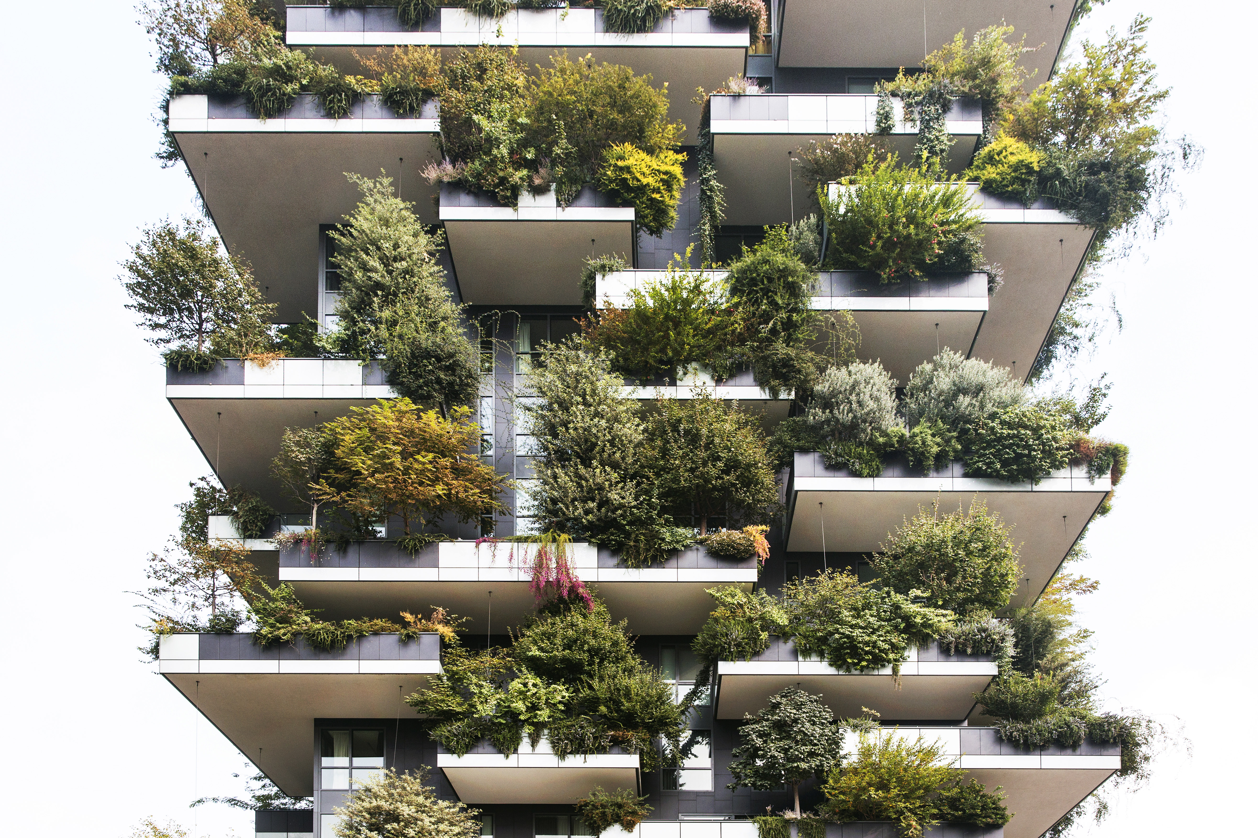 Vertical Forest Boeri Studio
