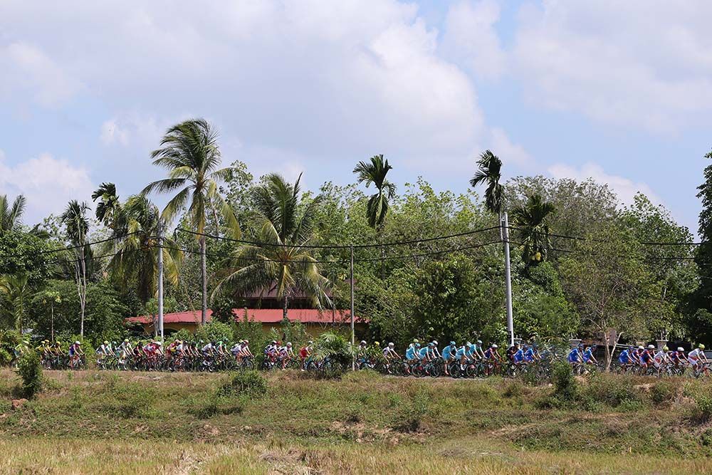 The roads passed through the jungle