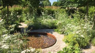 The Health & Wellbeing Garden by Alexandra Noble Design at Hampton Court 2018