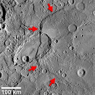 Beagle Rupes (identified by arrows) is a bow-shaped fault scarp on Mercury that is one of the most curved feature of its kind found by NASA's MESSENGER spacecraft. It is over 372 miles (600 kilometers) long.