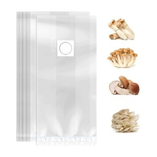 Collection of rectangular bags on a white background next to pictures of different mushrooms