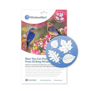 WindowAlert Leaf Medley Anti-Collision Decal