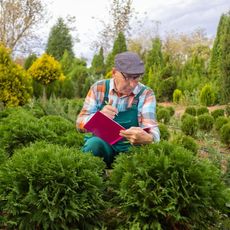 An older man looking at shrubs writes in a notebook