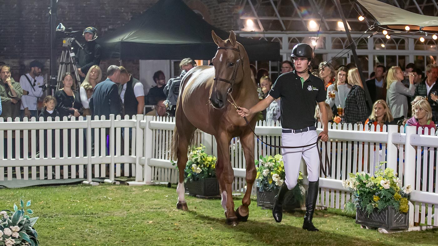 Z7 Porsche is sold at the Breen Equestrian auction