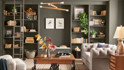 library room with dark gray-brown paint