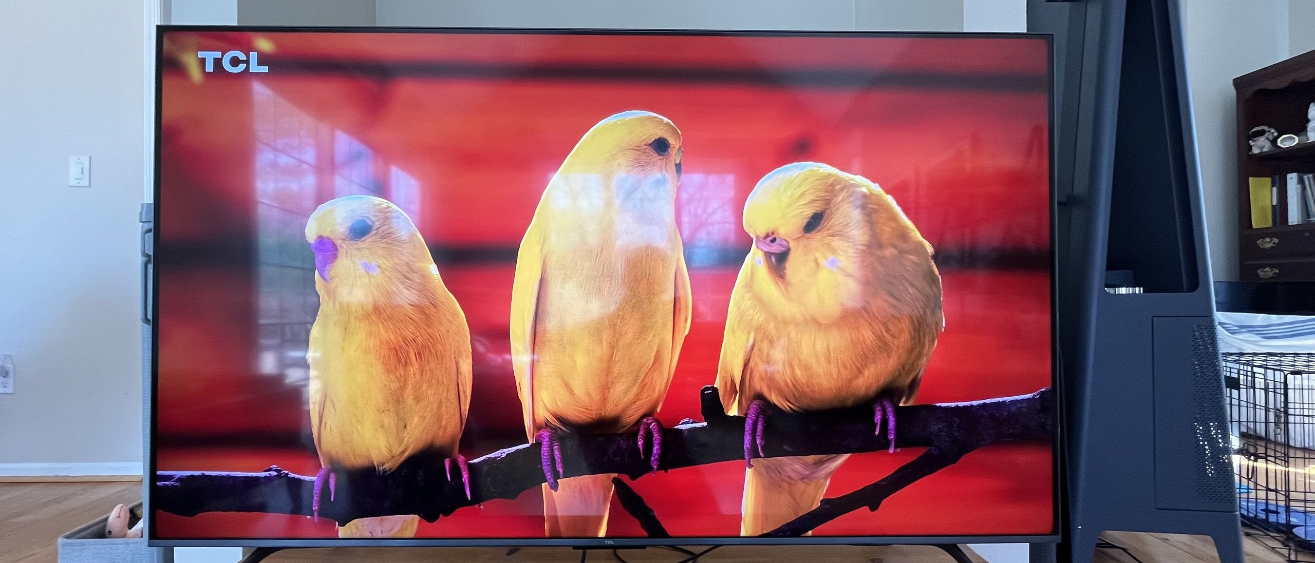 Best Buy just dropped our favorite budget Mini-LED TV to $499 – a brand new reco...