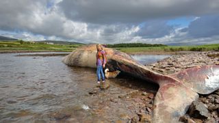 A woman and her dog standing next to he assive dead whale