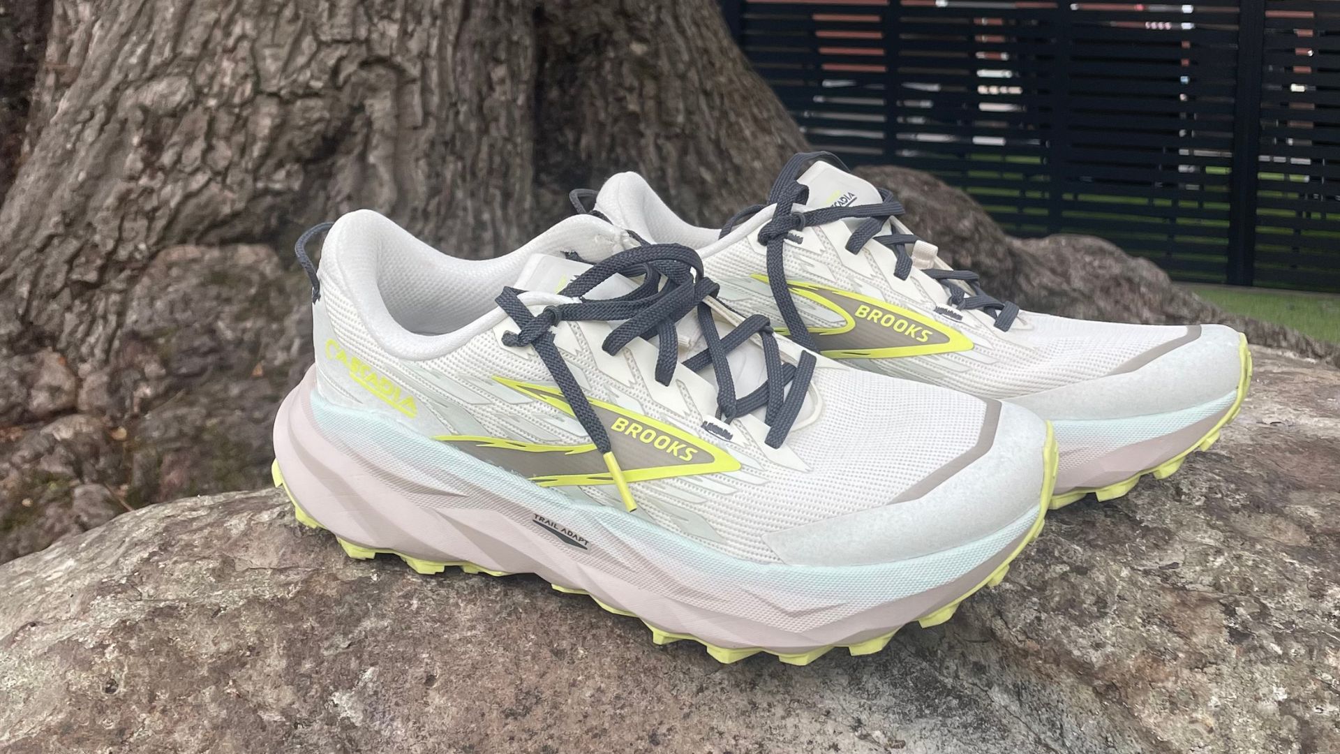 Brooks Cascadia 19 trail running shoe