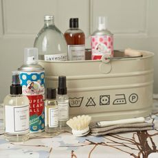 bucket with cleaning liquid and brush