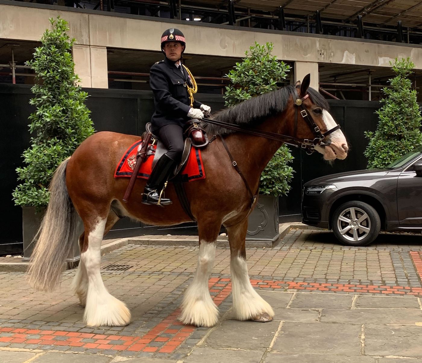 PH Thomson with his rider PC Matt Turner